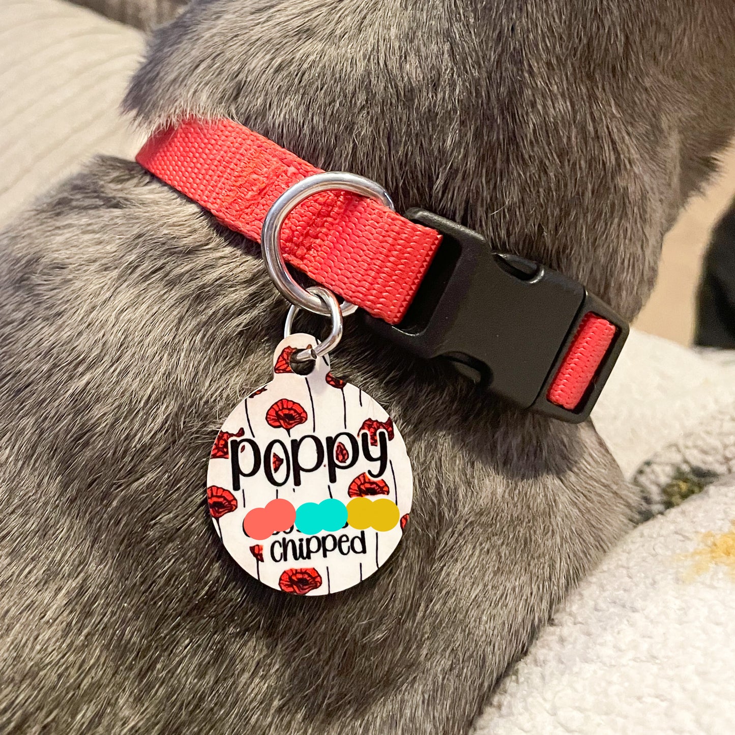 Single sided pet tag